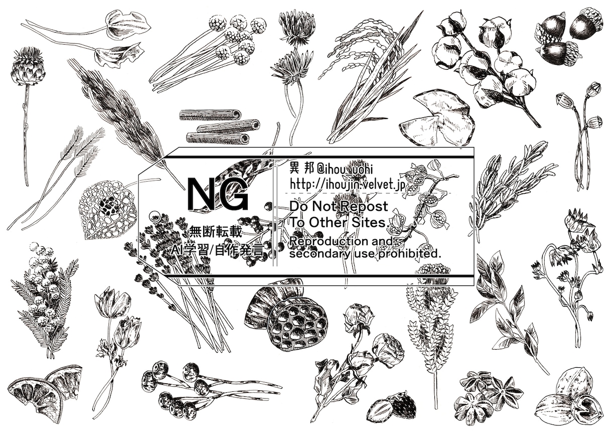 緻密なペン画イラスト描きます 植物や雑貨、民族衣装などが得意です！ イメージ4