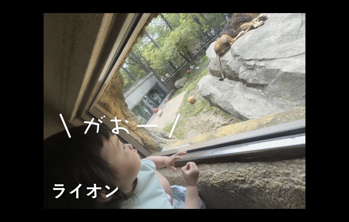 ほっこり！ご家庭のムービーを見返しやすく編集します かわいい我が子の動画本数が多くて見切れない！を解決！！ イメージ2