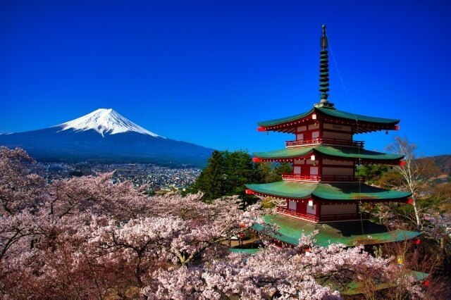 日本の未来が不安❗️今すぐ簡単に出来ること伝えます 外国人問題・治安悪化・日本人貧困化 ・環境破壊など イメージ8