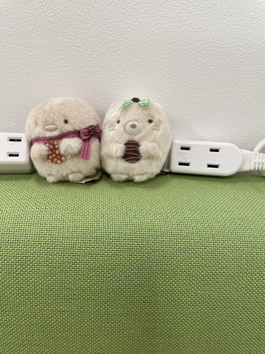 あなたのぬい活応援します ぬいぐるみ活動の報告を3日間500円で聞きます イメージ5