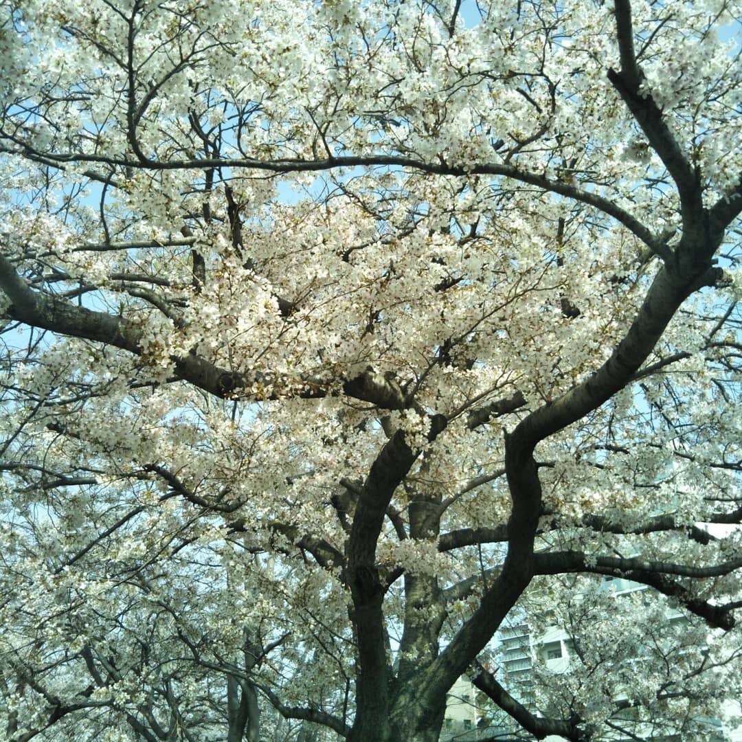 患者だからこそ解るあなたのうつの辛さをお聴きします ゆっくり　そして　あなたのペースで イメージ1