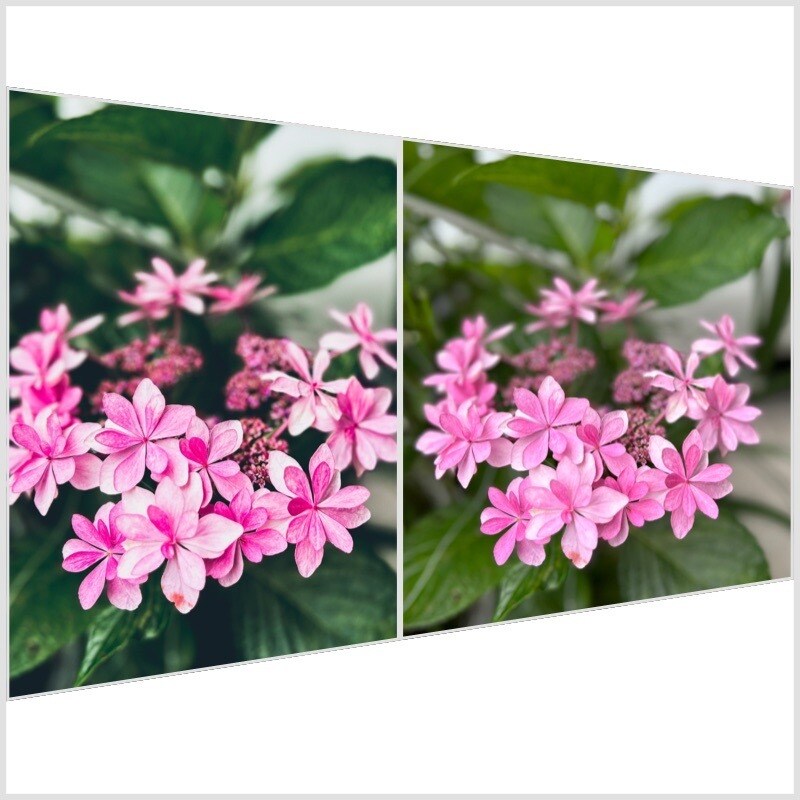 簡単な写真加工致します お気軽にできるように心がけております。 イメージ1