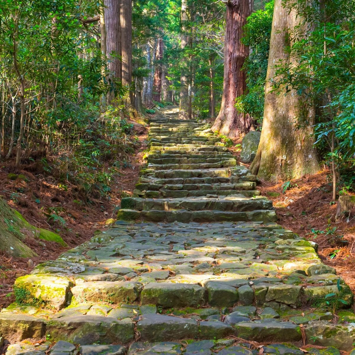 潜在能力鑑定｜あなたの魂に宿る本質の力を霊視します 神々の御力で、あなたの才能・潜在能力を呼び覚まします イメージ9