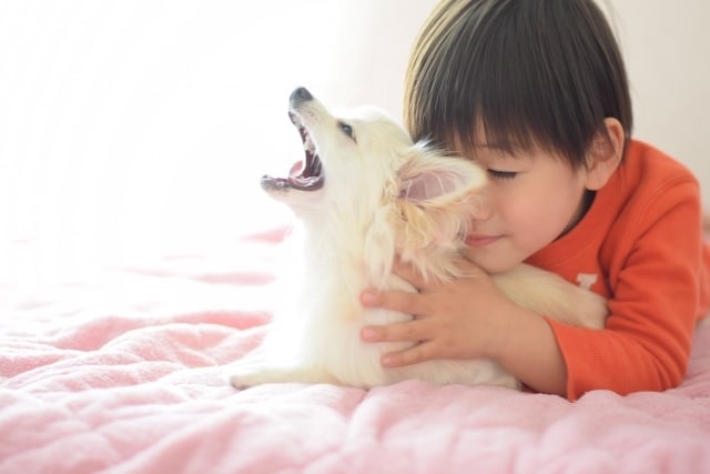 遠隔ヒーリングで愛犬と飼い主様の心身を癒します レイキと音叉のヒーリングで愛犬の状態を整える癒しの時間 イメージ7