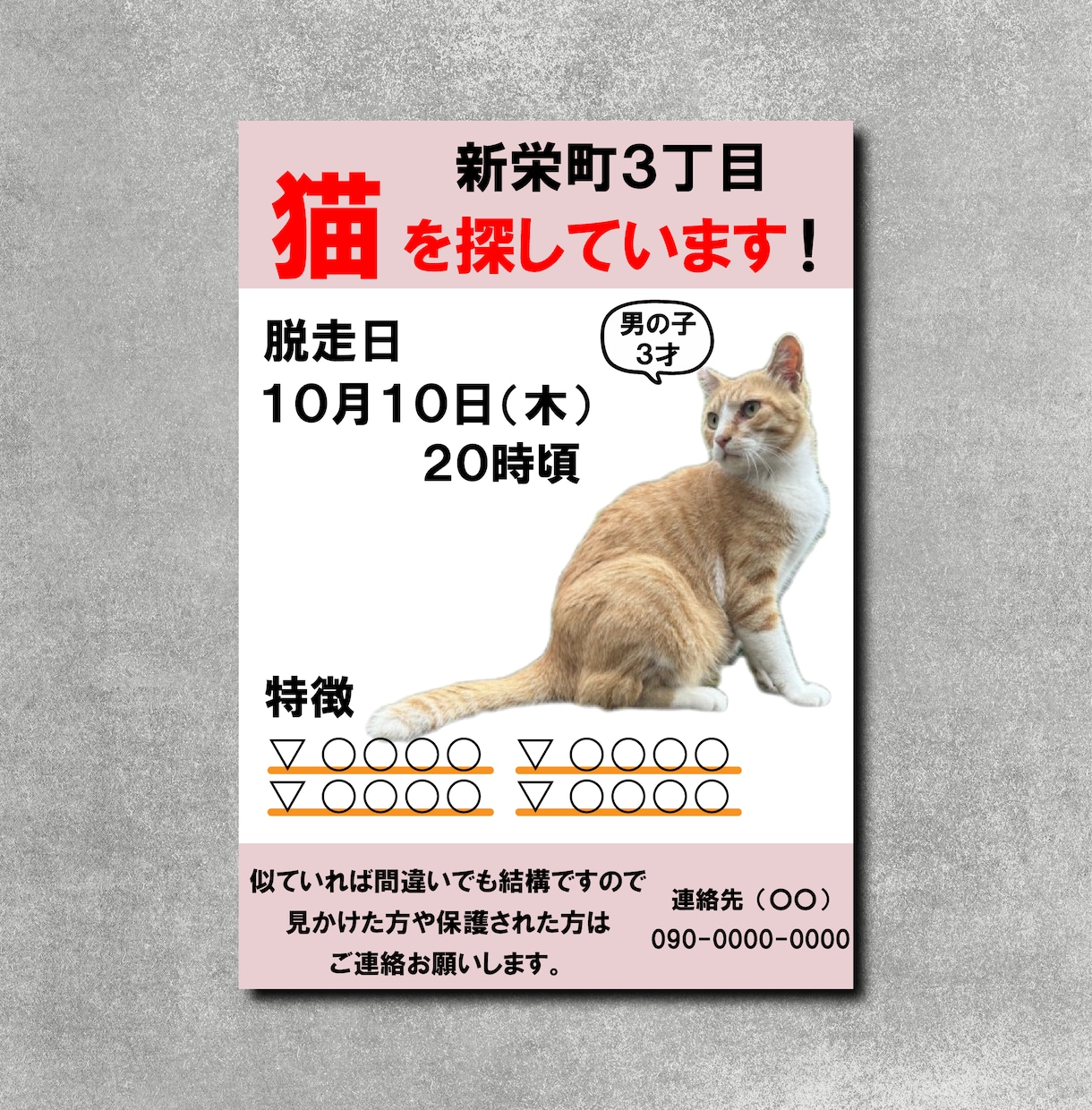 迷い猫・迷い犬の捜索チラシ制作します チラシの印刷も即日対応可能!! イメージ1