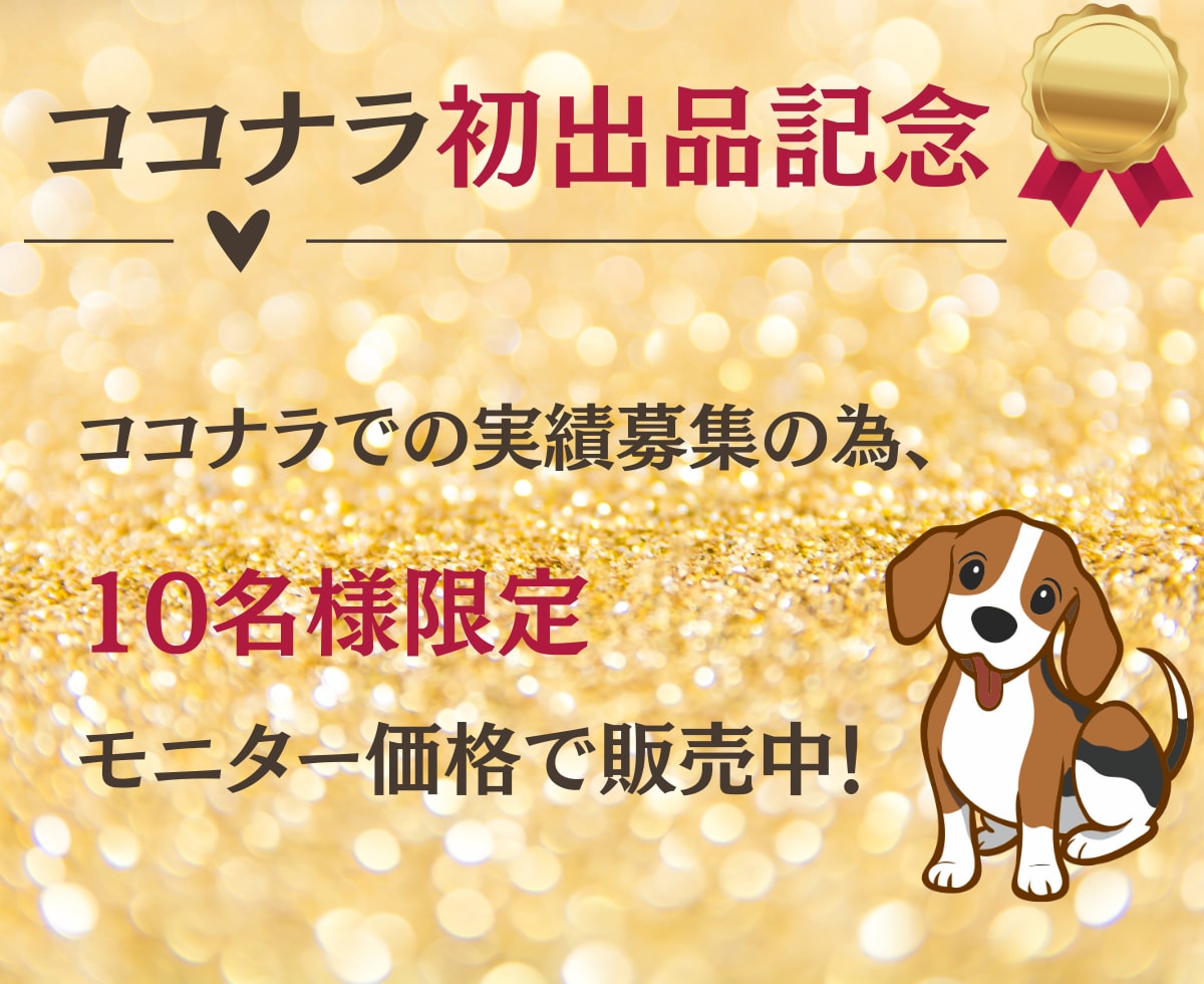 初心者でも始められるアクセサリー販売攻略教えます 初期費用ゼロ・在庫ゼロ・発送ゼロのアクセサリー販売革命 イメージ2