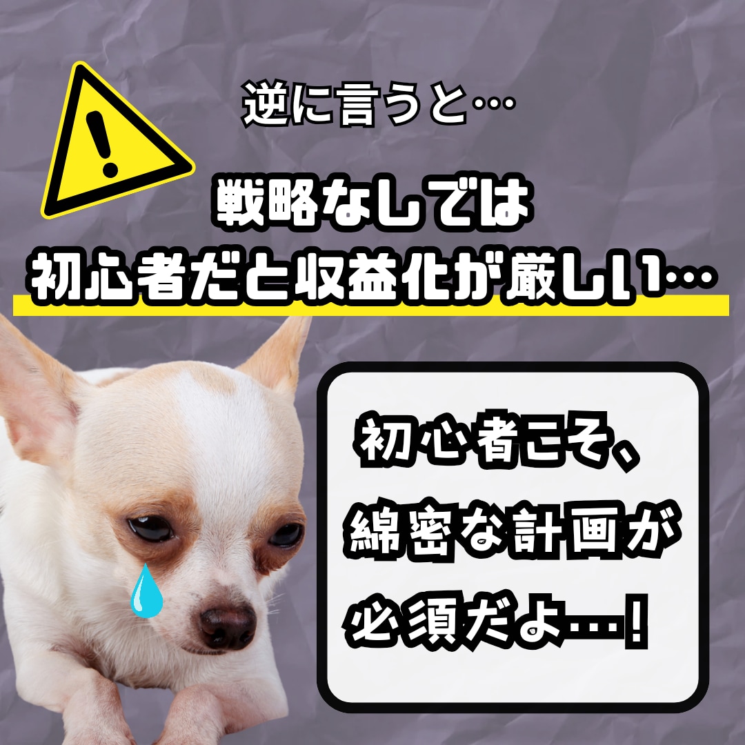スキル0の初心者でも手堅く稼ぐスキマ副業教えます 初心者やったもん勝ち秘密ノウハウを動画&PDFで徹底解説！ イメージ6