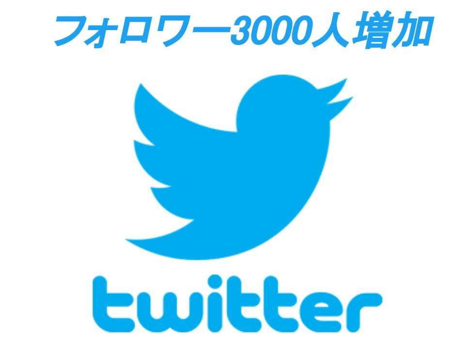 Twitterのフォロワー3000人増加させます 【10件限定】減少保証あり！限定価格1500円で+3000人