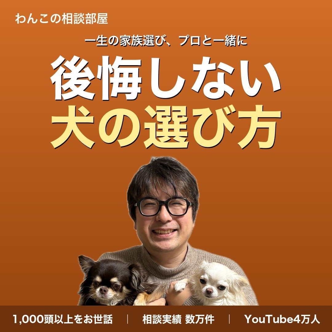 後悔しない犬の選び方｜プロが家族選びを伴走します 迎える前も迎えた後も、迷いを一緒に解消します イメージ1