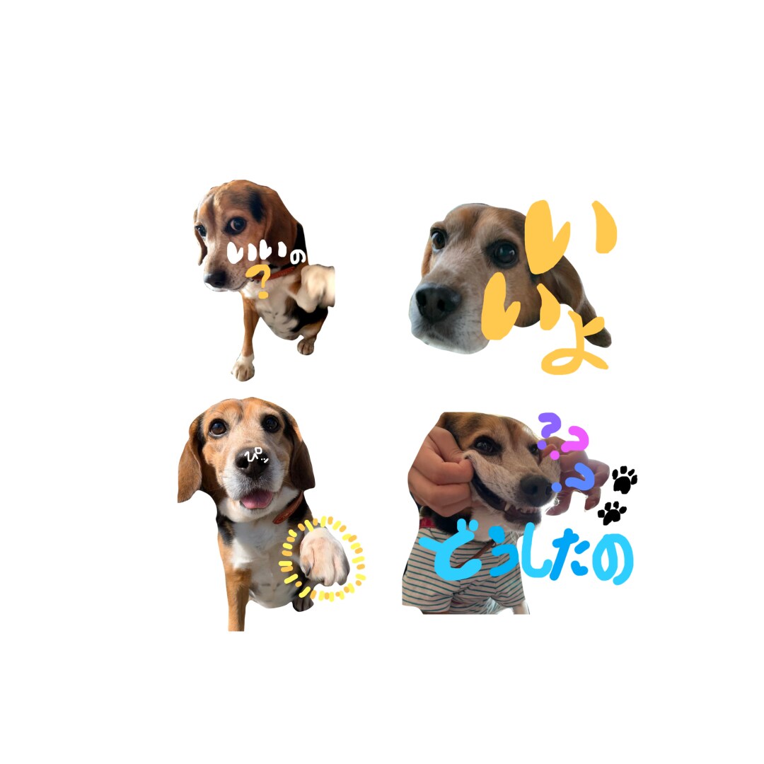 写真からオリジナルLINEスタンプ作成いたします 携帯に眠っている思い出の写真をスタンプにしませんか？ イメージ3