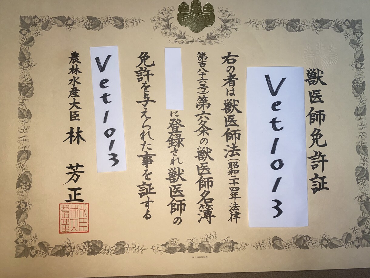 現役獣医に直接相談！犬猫の病気・治療相談にのります 日本獣医麻酔外科学会で受賞した獣医による相談受付：画像に証拠