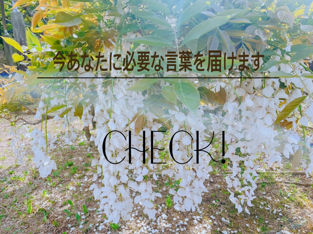今あなたに必要な言葉をお伝えします あなたのハイヤーセルフや天使が今届けたいメッセージを届けます イメージ1