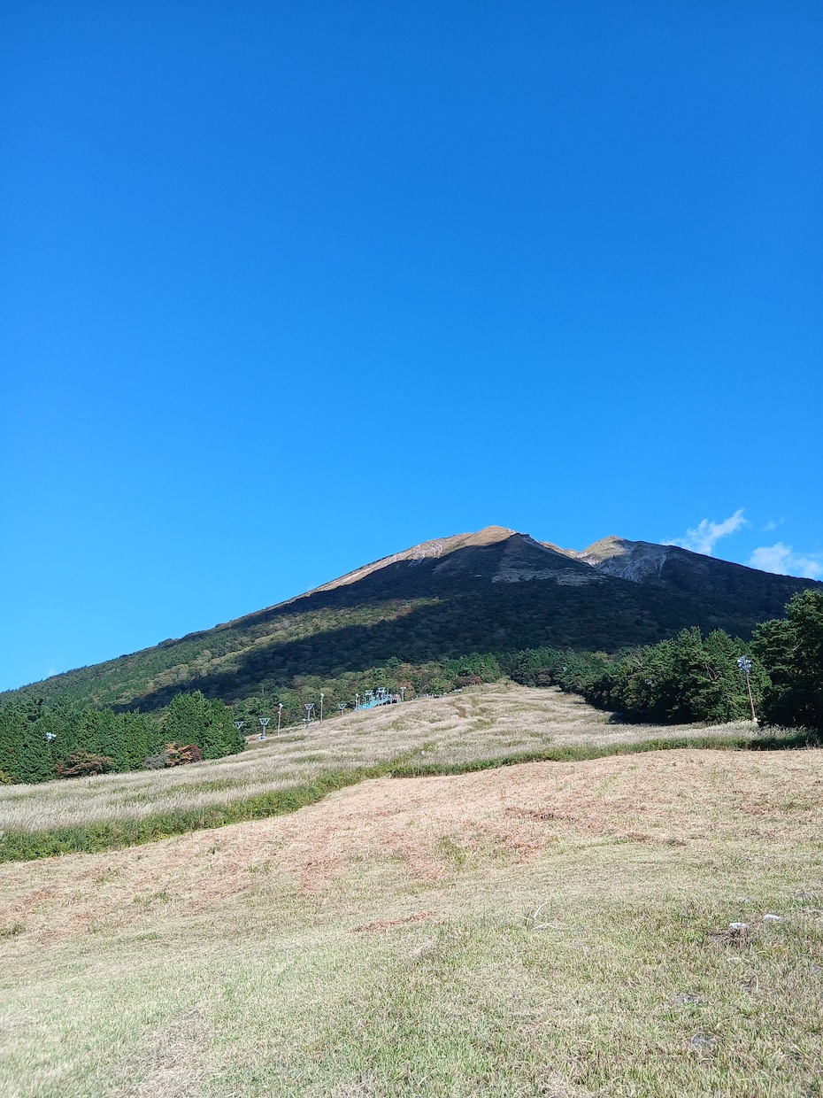 お相手のお気持ちを占います 貴方がお気持ちを寄せているお相手のお気持ちを占います！ イメージ1