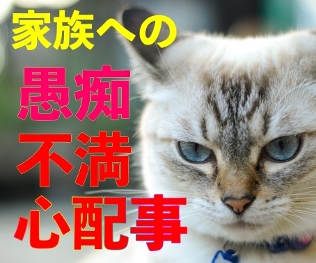 家族、夫婦の問題、心配事。何でも鑑定します 夫（妻）／親／子供／孫／姑／小姑／祖父母 イメージ3