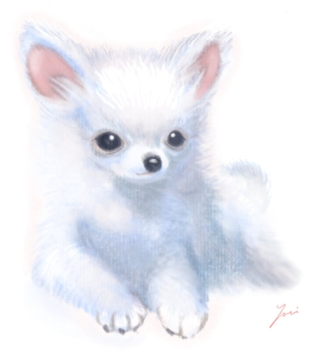 水彩風イラストやマスコット風イラストが描けます あなたの大切な家族や好きな動物をふんわりイラスト化！ イメージ7