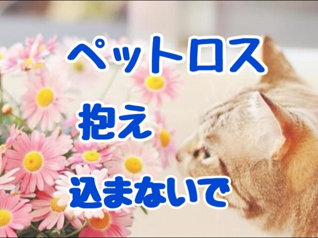 ペットロスに寄り添います 大切な家族を失った。でも周りに弱音は吐けない… イメージ1
