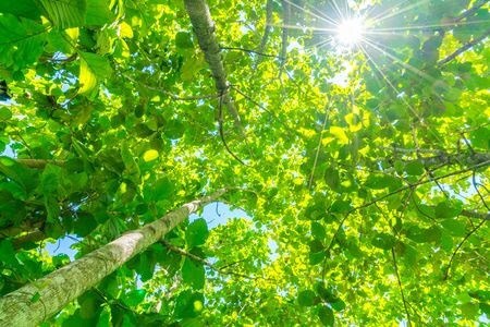 貴方の心を軽くします 遠慮なく、教えてください。貴方のお話しを聞かせてください。 イメージ2