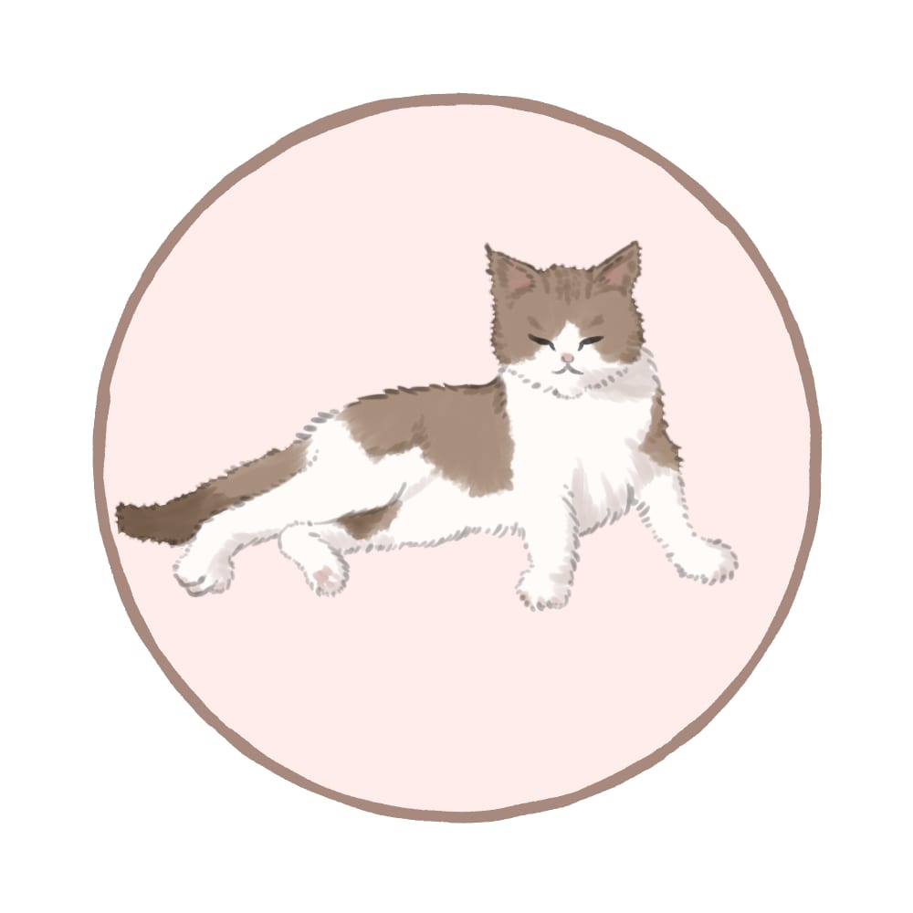 愛嬌のある猫ちゃんのイラストを描きます 可愛い表情で思わず微笑んでしまうふわふわ猫ちゃんイラスト イメージ7