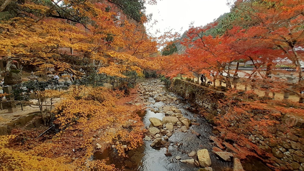 中国地方九州地方限定！旅行プラン考えます 後悔しない100%満足できる良い旅を！ イメージ4