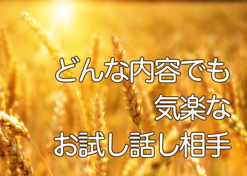 お試しOK! 気楽なお話相手になります 話し相手を探されているあなた！どんな内容でもお気軽にどうぞ♪ イメージ1