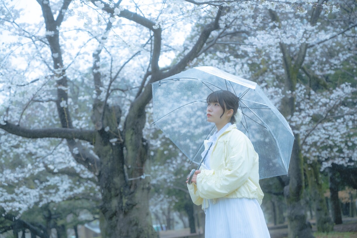 お写真撮影させて頂きます プロを目指す学生のゆったり撮影 イメージ2