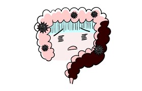 腸が狂うと人生が狂う！腸内環境改善を教えます 免疫の９割は腸！人生を変える腸活！ イメージ3