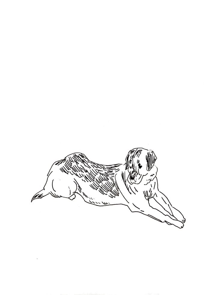手描き風ゆる〜いもふもふ動物の絵を描きます アイコン、挿絵などに使えます◯ 商用利用ご相談ください イメージ2