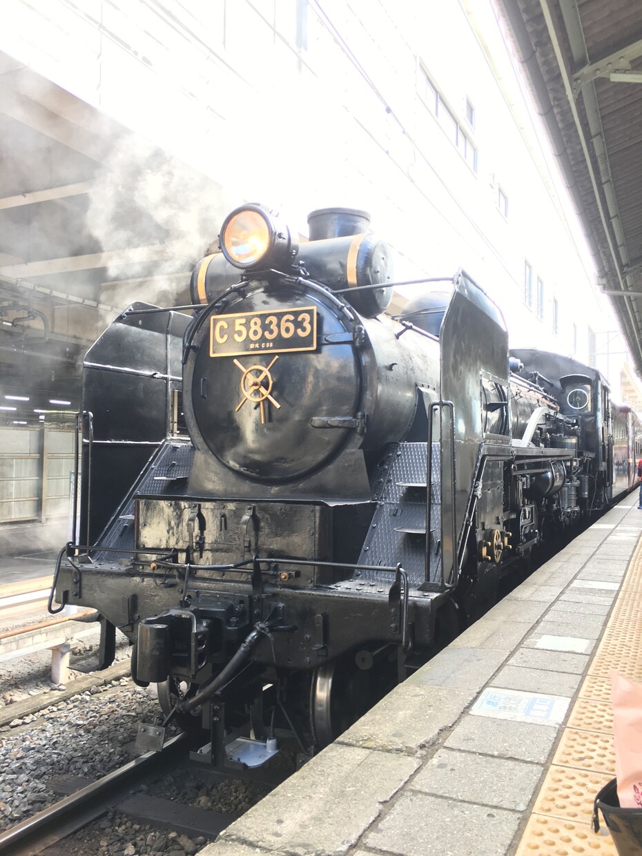 鉄道旅行のプランニングします 鉄道が好き！旅行が好き！元鉄道会社員がオススメするプラン☆ イメージ1