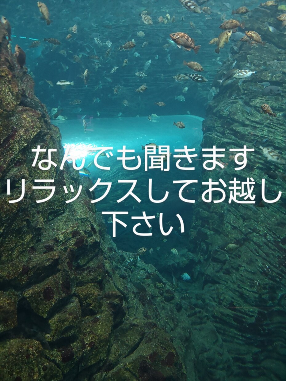 話を聞きます 真剣なことからしょーもないことまでなんでもお話下さい イメージ1