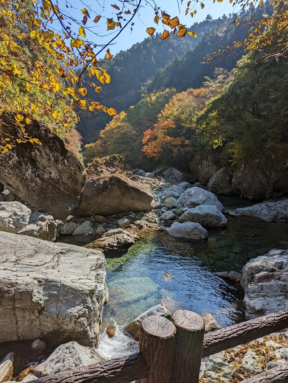 写真撮影、動画撮影代行致します 愛媛県内、高知県内対応致します。 イメージ4