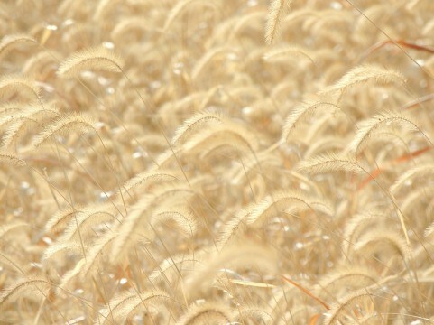 あなたのお話を否定せずに聴きます ただただ話を聴いて欲しい！そんなあなたを待っています。 イメージ2