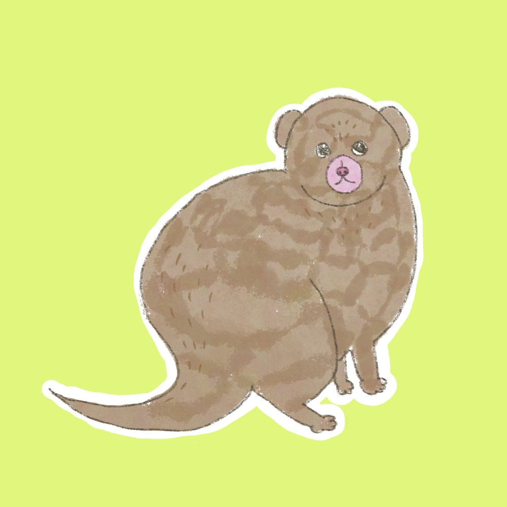 ゆるくてかわいいペット/動物のイラスト描きます ペットやお好きな動物を描きます。人物画もご相談ください イメージ5