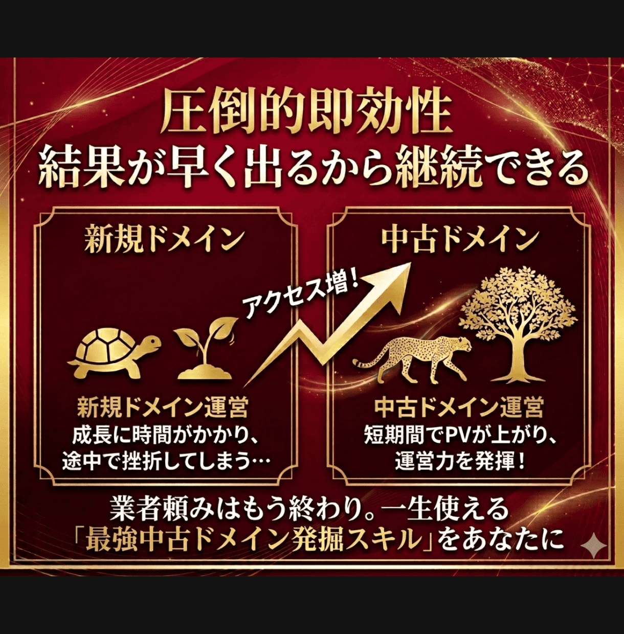 中古ドメインのノウハウ・購入方法を教えます ブログやアフィリエイトサイトのアクセスPVを増やしたい方に イメージ4