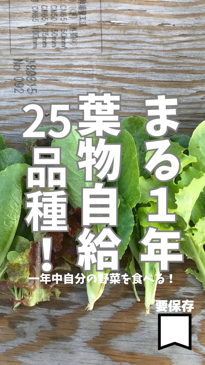 丸1年自給自足する家庭菜園スケジュールお渡しします 葉物野菜を年中切らさない菜園スケジュール表を差し上げます! イメージ1