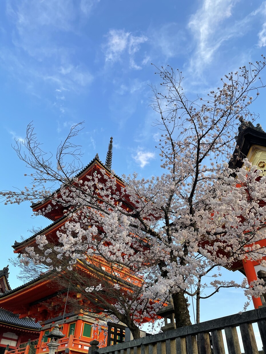 20-30代女子旅、 あなたの好み全て叶えます のんびりした旅行も予定を詰めた旅行も好みに合わせ提案します！ イメージ4