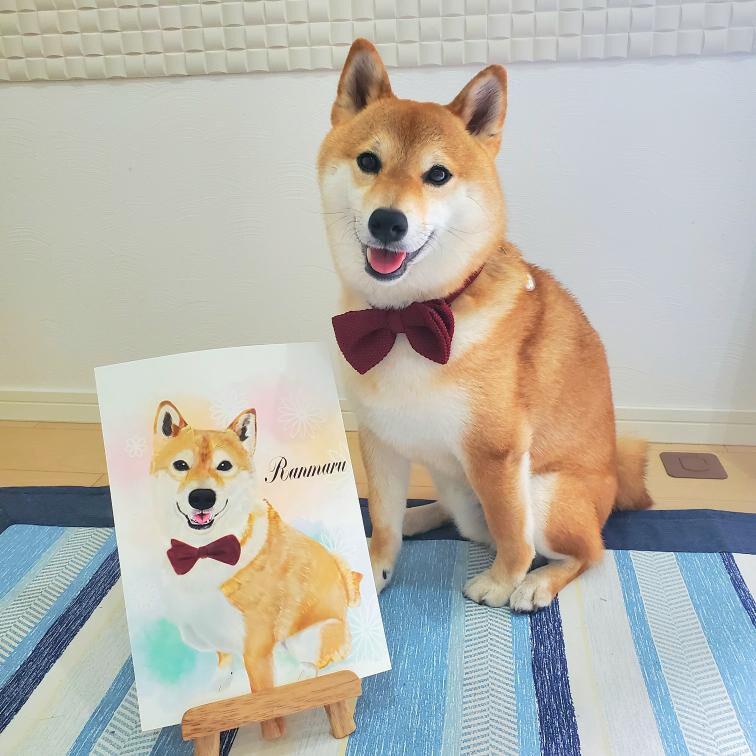 配送あり。うちの子をリアルにペットイラスト化します 犬、猫大歓迎。うちの子を可愛く描きます！印刷サービスあり イメージ5