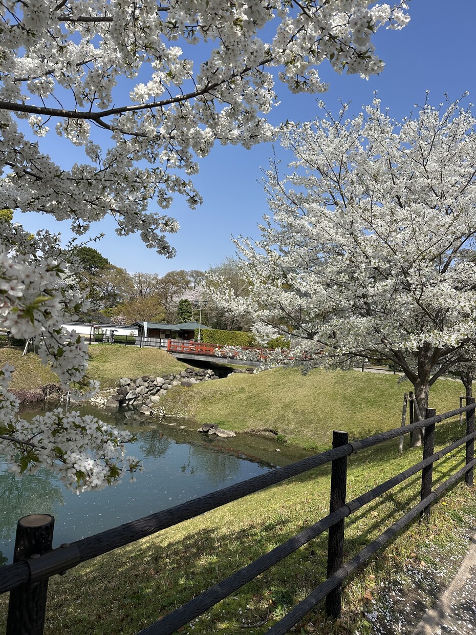 教員経験20年の早期退職者が相談に乗ります なかなか、相談しにくいこと、相談に乗らせてください！！ イメージ1