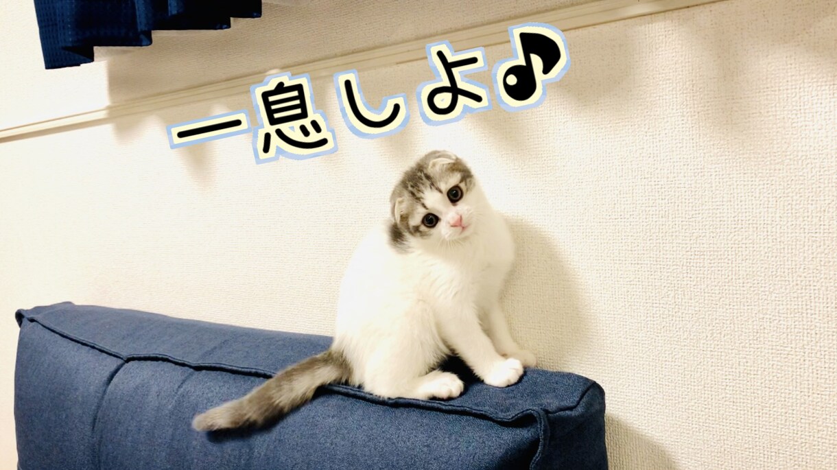 5分だけでも一息しましょ♪あなたのお話聞きます /こころに溜まった気持ちを吐き出して下さいね。 イメージ1