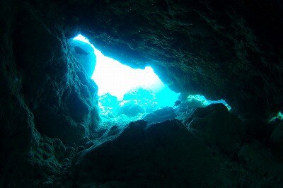 人生に悩んでる方、恋愛に悩んでる方相談に乗ります 相手の気持ちや、これからのことを見ていきます。 イメージ1
