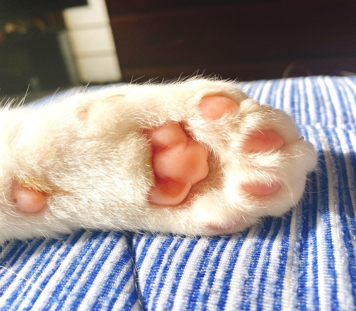 LINE感覚で2日間悩み･愚痴聞きます 周りには言えなくても…僕なら話しても責めないし肯定するよ イメージ1