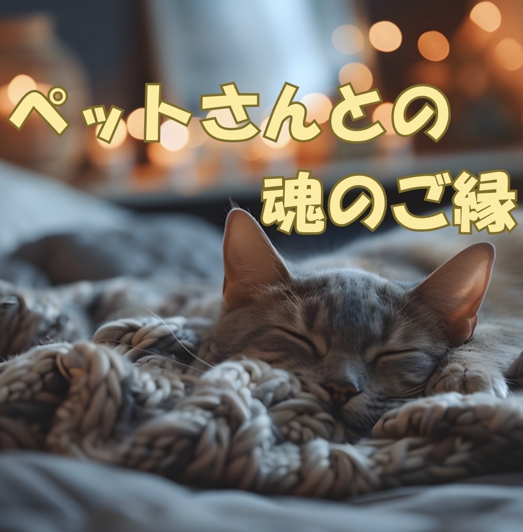 貴方とペットさんとの魂のご縁を読みき解きます なぜ私のところに来てくれたの？今共に暮らす子も虹の橋組さんも イメージ1
