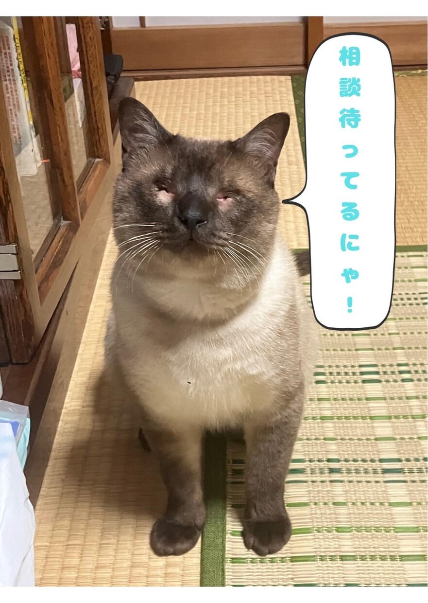 お悩み相談【労働・人生相談】受け付けます 労働問題で悩む人、これからの生き方に迷いがある人へ イメージ2