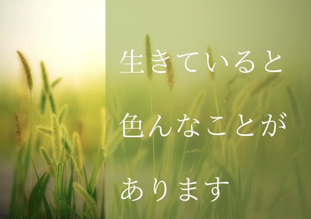 人生相談＊自分の人生このままでいいのか？鑑定します ★霊聴タロット★人生★恋愛★仕事★高次元の存在★ イメージ6
