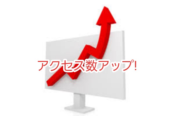 コチラはVIP様専用でございます 過去に取引させて頂いたリピーター様はコチラからどうぞ イメージ6