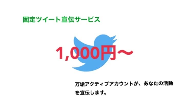 固定ツイートで宣伝します 拡散グループによるサポートを低価格で。 イメージ1