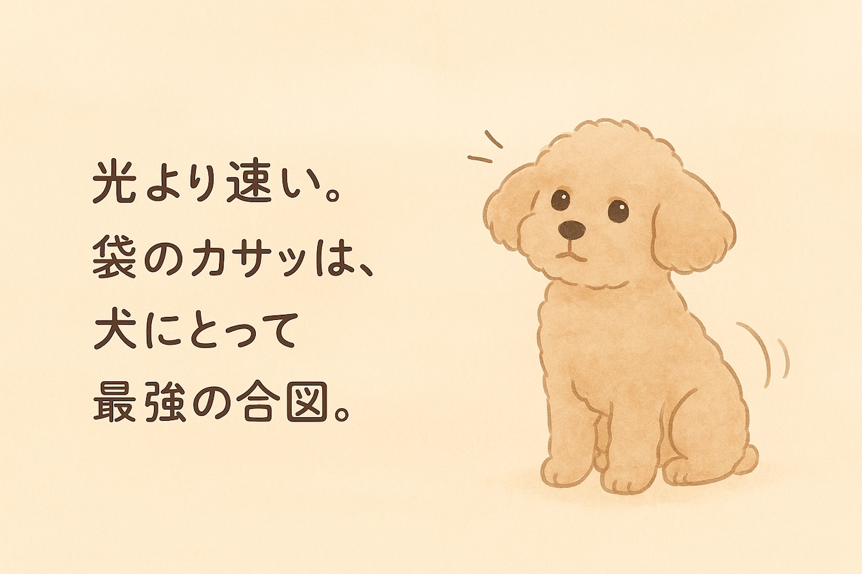 後悔しない犬の選び方｜プロが家族選びを伴走します 迎える前も迎えた後も、迷いを一緒に解消します イメージ5