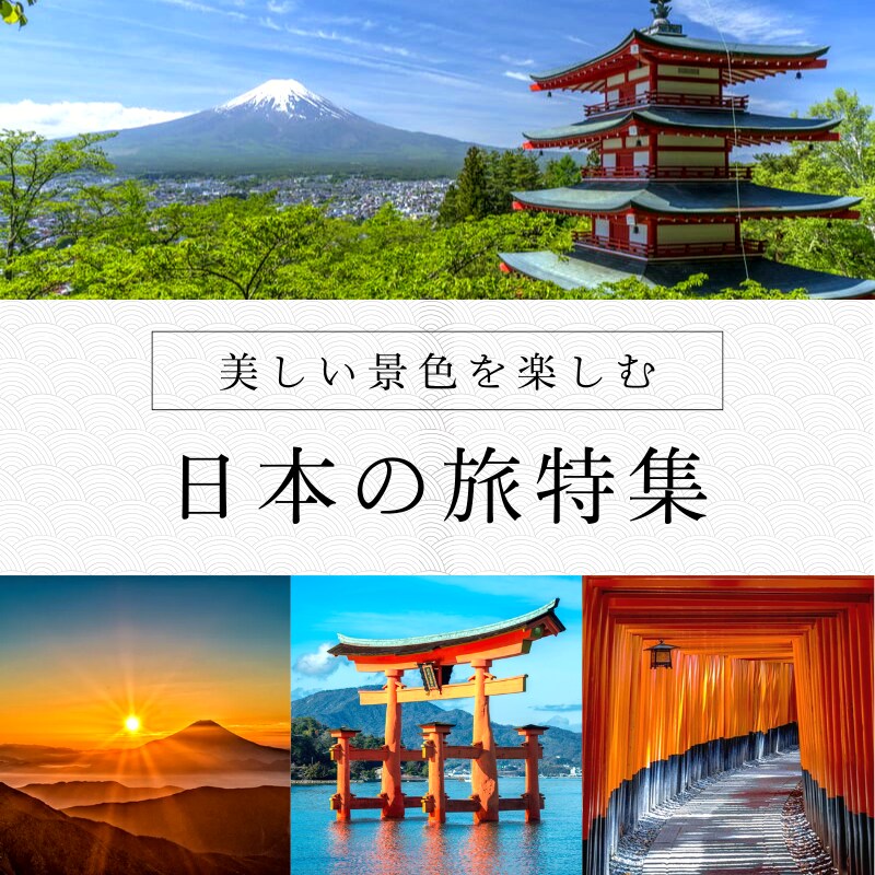 SNS用広告画像・バナー作成します ポチッっと押したくなる！SNS広告・バナー作成 イメージ2