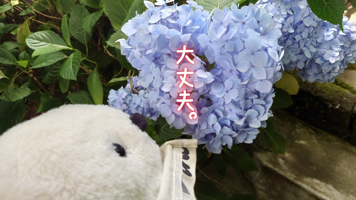 今すぐOK♥️愚痴・お悩みナンデモお聴きします 話すだけで フワッ と心が軽くなる♪心の休憩所へようこそ♥️ イメージ6