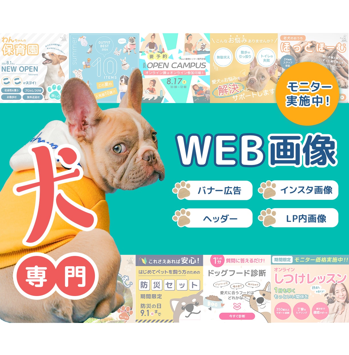 犬専門！サービスの魅力が伝わるデザインを創ります 犬業界に特化したデザインを制作します！ イメージ1