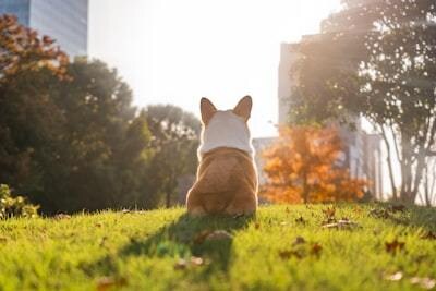 1分OK♪寂しい・暇な時の電話相手します 本当っにリラックスして、話してスッキリしてください♪ イメージ4